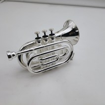 트럼펫 악기 Trumpet 입문용 초보자 연습용 전문 바흐 TR6500 Bb 포켓 트럼펫 실버 도금 악기 케이스 액세, 한개옵션0