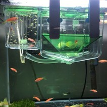 미니어항 실내 어항 아쿠아리움 수족관 1pc 물고기 사육 성인 물고기 청소년 물고기, 없음