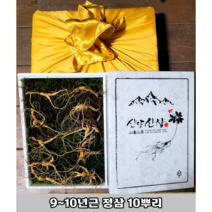 천생삼 산양산삼 6 8 10년근 정삼 5~20뿌리 산삼 산양삼 장뇌삼 추석선물, 선택I0. 9~10년근 10뿌리