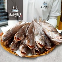 반건조 조기 민어조기 10~12마리세트 25~30cm반찬용(부산 망미중앙시장), 민어조기34cm 10마리