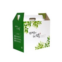 자체제작 한약박스 자연이주는선물(특대) 50장_0111EA, 본상품선택