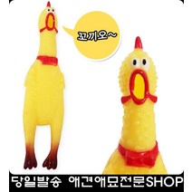 강아지장난감 꼬끼오 치석제거 훈련 강아지쇼핑몰 아기강아지장난감