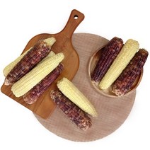 [자미담] 2022년 담양가사문학 옥수수(백찰/흑찰) 5ea, 백찰 5ea