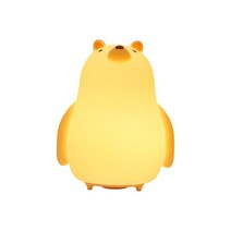 우주비행사 무드등 우주인 식빵 취침등 고래 커튼박스 튤립 미러볼 알전구 아크릴 콘센트 간접조명 토끼 달 오로라 다이소 조명 집들이선물 고양이 불멍, C RGB 심포니-USB