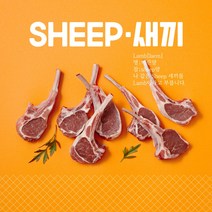 (익일도착) 3개월미만 프렌치랙 -어린양 양갈비 SHEEP새끼 (소스4종무료)양고기스테이크 쉽새끼 양갈비 2인기준 숄더랙 캠핑양갈비 2인기준