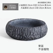 대형 화분 거실 베란다 인테리어 단지 미술관 식물원, C