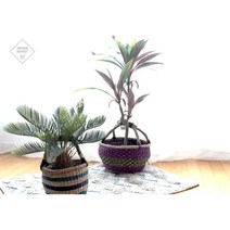 76cm 드라세나 송오브인디아 조화식물 화분 공기정화식물 개업식