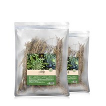 (주)웰빙 건조 와송 2팩 국내산 김천, 100g, 1개
