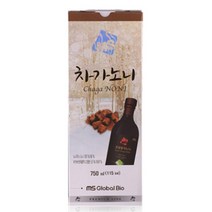 차가노니 노니주스 차가버섯추출액 noni 노니액 30대