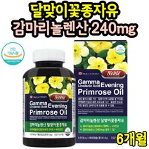 월경전 생리 전 영양제 달맞이기름 증후군 X 약 3개월 콜레스테롤 혈행 개선 효능 면역과민반응 통심할때 달맞이꽃종자유 감마리놀렌산 여성 중년여성 2통