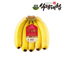 식탐대첩 스미후루 감숙왕 바나나 4송이 약5.2kg내외, 단품