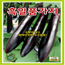 OK농장 [[가지] 흑일품 가지(100립)] 가지씨앗 고추씨앗 종묘 묘종 씨앗 채소씨앗 꽃씨앗(KS종묘)