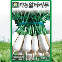 다농알타리무, 500립