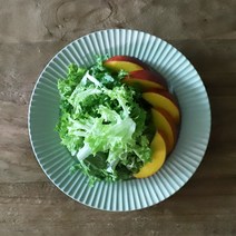 오반자이 라플리츠 브런치 접시 23cm 일본 그릇 식기 레트로식기 북유럽스타일그릇 빈티지접시 고급스러운접시 도자기그릇, 오반자이 라플리츠 브런치 접시 23cm[민트]