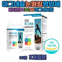 마그네슘효능 눈떨림 원인 마그비 액티브 맥스 권장량 신경 근육 파워 보충 영양제 부족하면 마그네슘 비타민B6B1B2 산화마그네슘 제제 마그네시움 눈꺼풀 눈밑 손이저린이유 아세틸콜린의분해감소 긴장이완 도움 마그네슘영양제 마그네비정 눈꺼풀떨림의원인