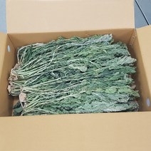 양구 펀치볼 시래기 나물 1kg 무청 건시래기 말린 시래기