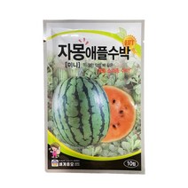 국산 자몽애플수박 씨앗 10립 [22년포장] 배맛 미니 수박 종자