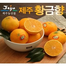 제주 황금향 2.5kg(6-14과)/2.5kg(15-20과), 2.5kg 6-14과