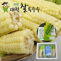 [즉시발송]귀한분께 선물하는 괴산대학찰옥수수 생물/냉동2가지, 15개입, 냉동 괴산대학찰옥수수/냉동/아이스박스