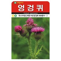 아람종묘 엉겅퀴씨앗 100립 약초종자 엉겅퀴씨