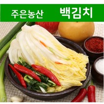 [국내제조] 시원하고 맵지않아 아이들이 좋아하는 주은농산 백김치 5kg, 백김치 5kg+아이스박스 포장