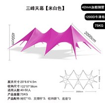 타프 캠핑 그늘막 타프스크린 텐트 감성 렉타 블랙코팅 자동차 대형, L. 쓰리 픽스 스카이 캐노피 로즈 레드