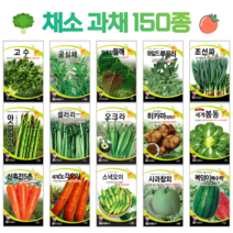 쌈 채소 씨앗 모음 고수 공심채 루꼴라 궁채나물 수박 참외 호박 토마토 상추씨 동남아 종자, 61. 신흑전5촌당근 8g