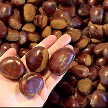 햇공주밤 1KG 칼집X 밤삶는법 군밤 밤 밤효능 약단밤