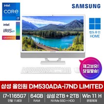 삼성 올인원PC DM530ADA-i7ND LIMITED [WIN10+11세대i7-1165G7+RAM64GB+삼성NVMeSSD2TB+HDD2TB+23.8형FHD]가성비총알발송
