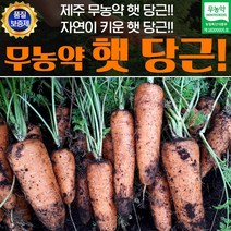제주 무농약 당근 상 3kg