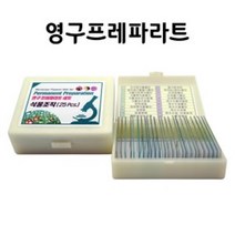 초등과학 식물세포 현미경표본 키트 영구 연구실 실험준비물 생물체 미세구조 표분