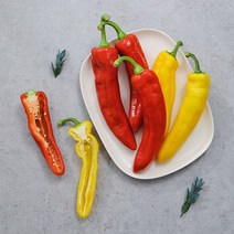 자연맛남 [자연맛남] 김제 프리미엄 트리벨리 파프리카 5kg, 단품