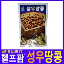 헬프팜 땅콩 50립 씨앗 성우종묘 종자