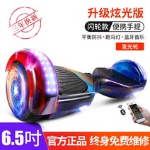 호버보드 두발 전동휠 투휠 전동 보드 6.5인치 밸런스, I.6.5인치, 36V