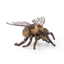 TWKL 모형완구 벌