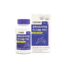 프리미엄 마그네슘 4개월 비타민B 영양제 눈떨림