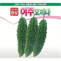여주씨앗종자 여주 오끼나 400립 asa