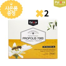 뉴질랜드 프로폴리스 120캡슐 2개 고농축 유칼립투스 효능 건강식품 비타민