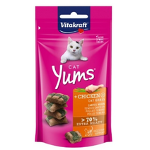 고양이 간식 비타크래프트 캣 캣얌(치킨&캣그라스) 40g, 1개