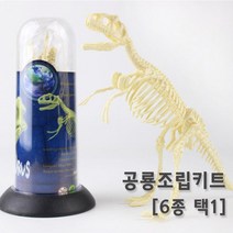공룡뼈 화석 모형 조립 피규어 장식품 실습 교구 창의 관찰 초등 실험 과학 수업 연구, 트리케라톱스