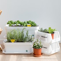 [피플랜트] 식용 허브 모종 키우기 텃밭화분 로즈마리 스위트바질 애플민트 딜 루꼴라 외16종, 옵션 : 가드닝박스(2개용)