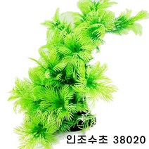 러브아쿠아 인조 수초 암브리아 (38020), 1개