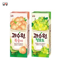 남양 과수원 190mlx48팩(2박스) 4종선택1 유통기한, 1개, 과수원 복숭아24팩+청포도24팩, 필수선택:06_과수원 복숭아+청포도 190mlx48팩