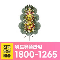 위드유플라워 축하화환 전국당일배송 축하3단 플러스2