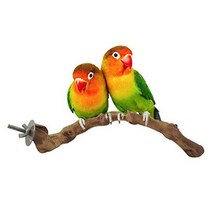 새 횃대 애완 동물 앵무 서 있는 스틱 야생 포도 나무 기둥 앵무 잉꼬 perches 물린 발톱 연삭 장난감 장 액세서리, 가지가 없다