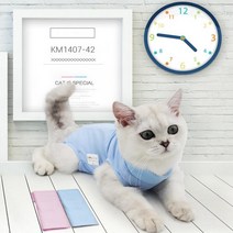 고양이 수술복 반려동물 환부복 애완 신축 통기성 중성화 환묘 옷, Sㅡ블루