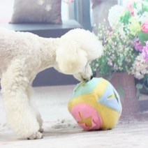 아트박스/에이치플러스몰 킁킁볼 토끼킁킁볼 노즈워크 간식볼 W86F4FC, 사각킁킁볼 민트
