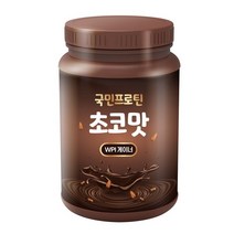국민프로틴 초코맛 WPI 분리유청단백질 게이너 보충제, 1kg/1개