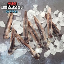 국내산 활 선동 초코 오징어 숙회 통찜오징어 1kg, 3kg