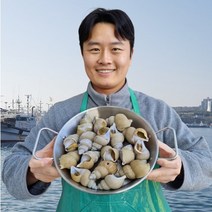 [선주직송]활 백 골뱅이 백고동 자연산 구룡포 동해 백고동 포항 소 중 대 특대 1kg, 백고동 소1kg 35-60미내외